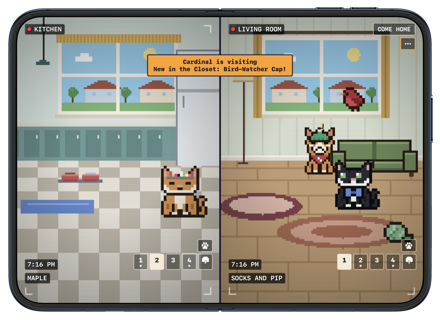 Petwhile on an open iPhone Duo showing two camera feeds: the kitchen and the living room.