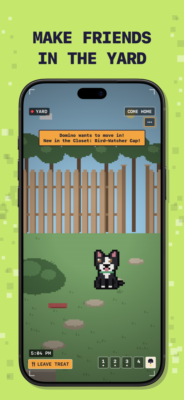 Make friends in the yard: a stray dog who wants to move in.